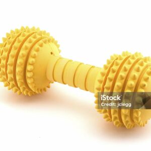 dog toy 2 Yellow Dog Toy