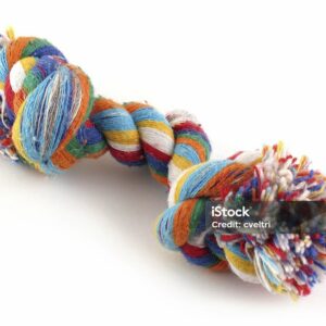 Dog toy isolated on a white background. Rainbow Rope Toy